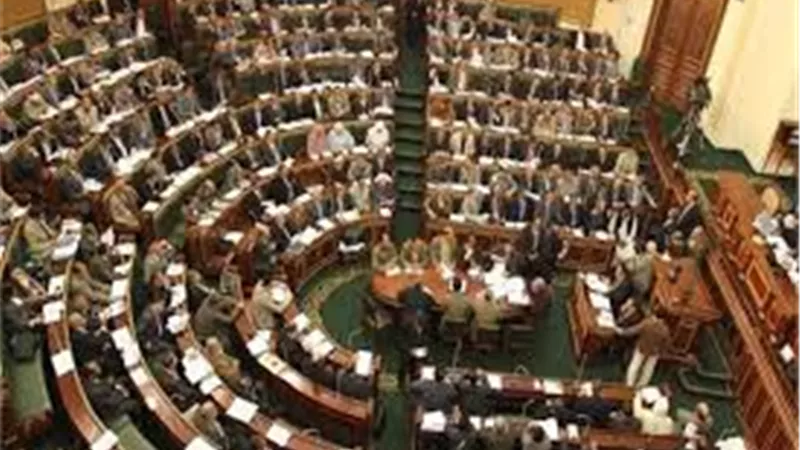 الانتهاء من تعديل الدستور منتصف أبريل (بيان)