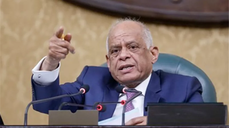 انتهاء جلسات الحوار المجتمعي حول تعديل الدستور.. وعبدالعال يرفض اسقاط جنسية من يستقوى بالخارج ويؤكد: نحن في مجتمع ديمقراطي