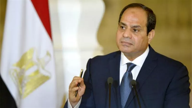 السيسي: زيادة الحد الأدني للأجور لـ2000 جنيه والمعاشات لـ900