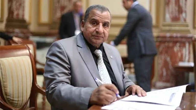 نـائب السويس يطالب المحافظ باجراء عاجل لحماية المواطنين من الكبري الجديد