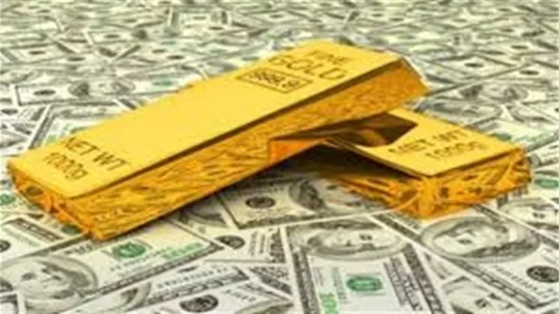 نشرة الأسعار اليوم الجمعة 24 مايو 2019.. انخفاض سعر الدولار أمام الجنيه .. تراجع اسعار الذهب.. أسعار العملات بنك الاهلي .. بورصة الدواجن .. أسعار السمك .. أسعار الخضروات 
