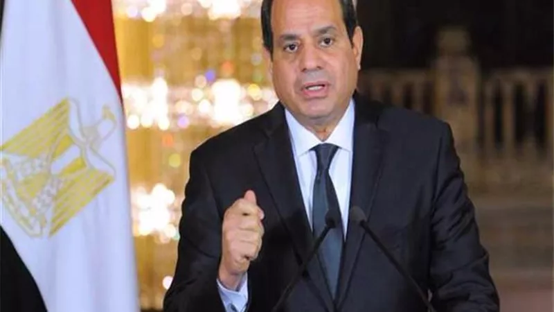القومي للإعاقة يشكر الرئيس السيسي على مبادرة الكشف المبكر لضعف وفقدان السمع لحديثى الولادة