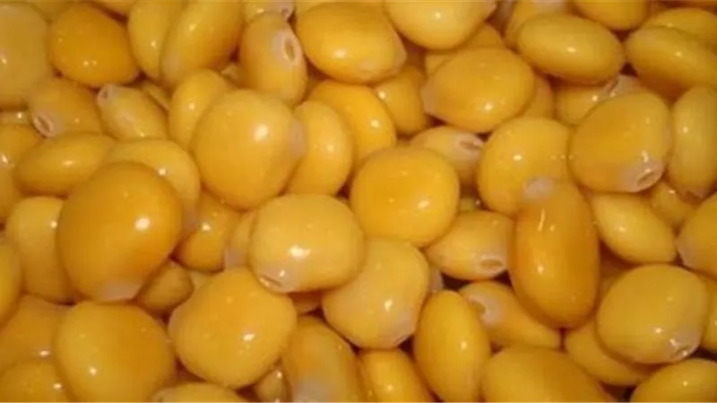  فوائد الترمس في العيد (فيديو)