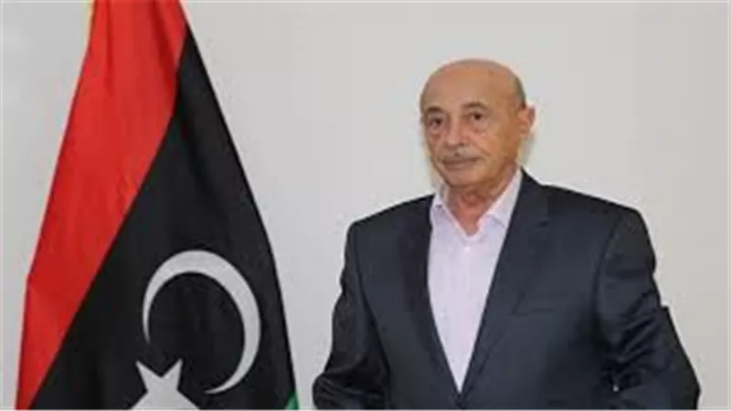 رئيس مجلس النواب الليبي يحدد طريقة حل الأزمة في البلاد (فيديو)