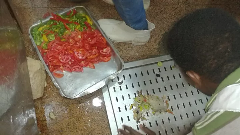 الصحة: إعدام 4 أطنان أغذية متنوعة فاسدة بعدد من المنشآت الغذائية بالساحل الشمالي (صور)