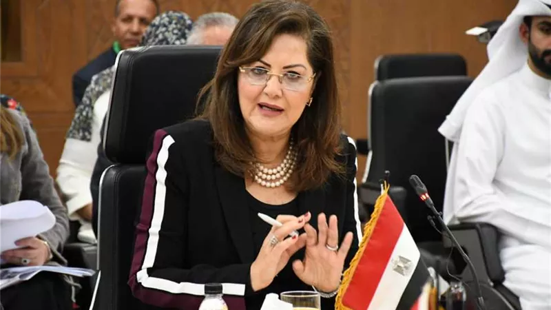 التخطيط: «اختفاء الصحافة الورقية خلال 4 سنوات» (فيديو)