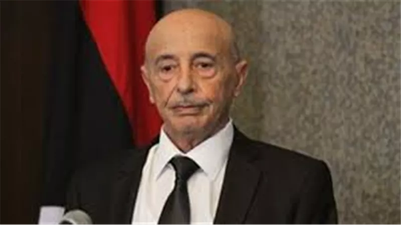 رئيس مجلس النواب الليبي لـ TeN: مصر ملجأ لكل من يضيق به الحال ولم ولن تقصر مع ليبيا (فيديو)