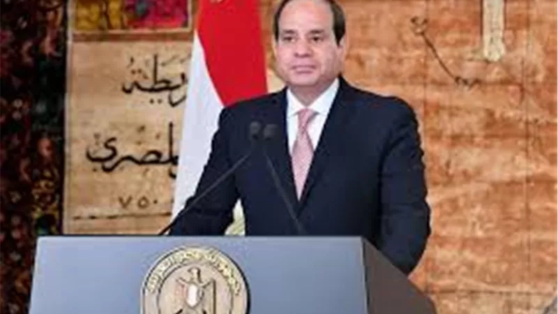 أستاذ علوم سياسية: «السيسي أطلق مرحلة الإحياء الثاني للدور المصري بأفريقيا» (فيديو) 