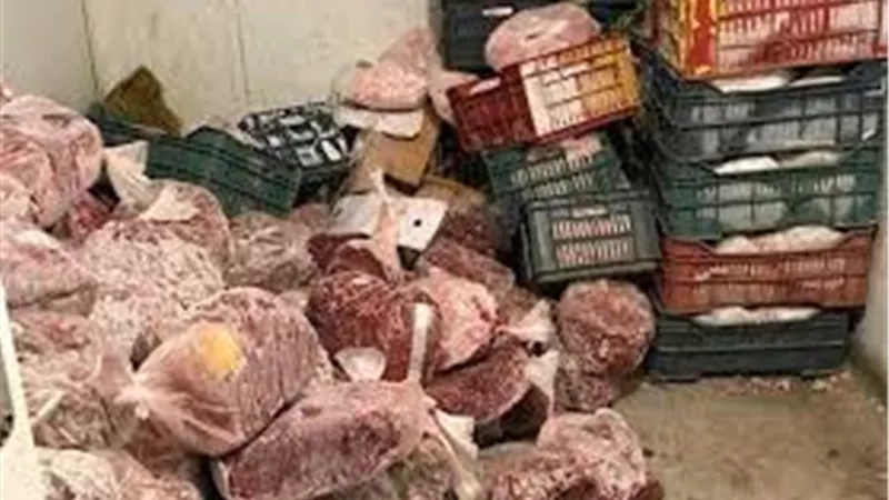  إعدام 427.5 كجم أغذية غير صالحة للاستخدام الآدمي في حملة على النوادي الرياضية بالقاهرة والجيزة