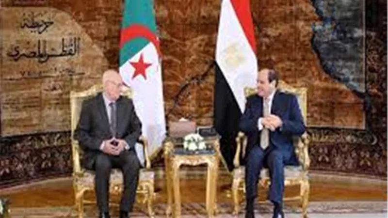 بسام راضي: الرئيس الجزائري المؤقت شكر السيسي على التسهيلات المقدم للجمهور الجزائري (فيديو)
