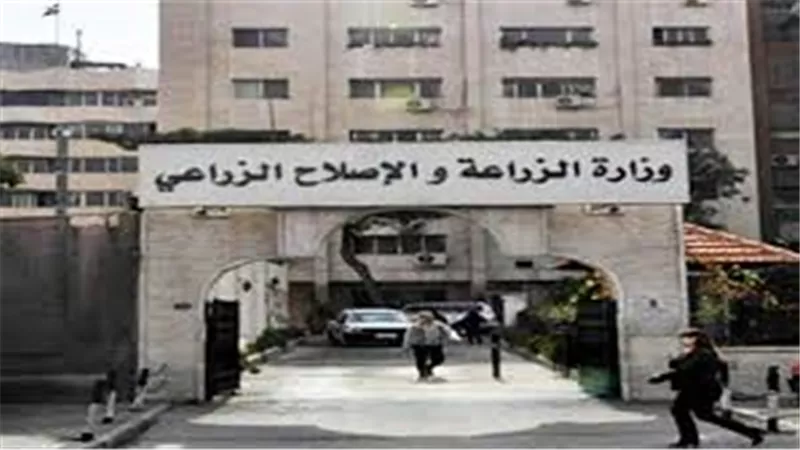 الزراعة تعلن عن وظائف بـ 5 آلاف جنيه في جنوب سيناء (فيديو)