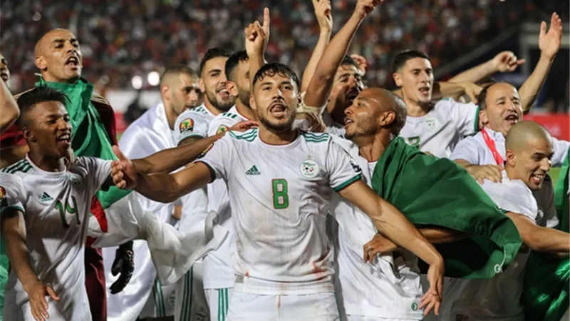 هانى حتحوت يهنئ منتخب الجزائر بلقب أمم إفريقيا: «ذهبت البطولة لمن يستحقها» (فيديو)