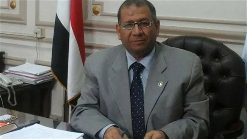 عميد آداب القاهرة: مشروع بناء السد العالى كان أحد أهم مشروعات الثورة الاقتصادية