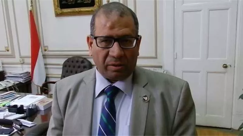 عميد آداب القاهرة: المنطقة العربية تمتلك مقاومات الوحدة بين دولها بشكل أكبر من أوروبا