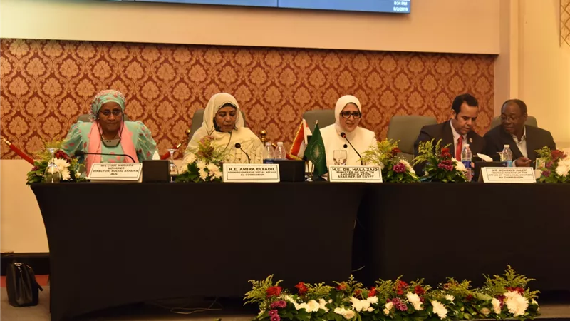 اللجنة الفنية المتخصصة للصحة والسكان ومكافحة المخدرات: نجاح مصر في مكافحة فيروس سي يؤكد إمكانية تكرار التجربة في كل الدول الأفريقية (صور)