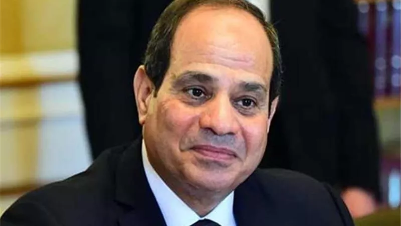خبير اقتصادي: الرئيس يعرف سعر اللحوم وكأنه يشتريها بنفسه.. والدولة لا تنافس التجار (فيديو)