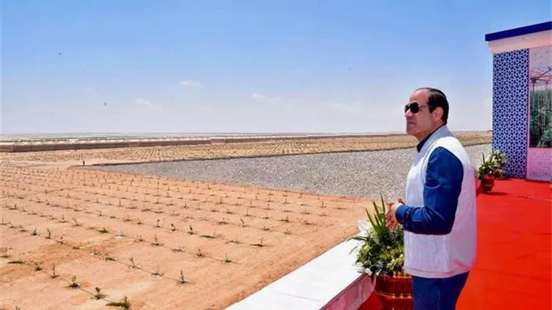 عميد زراعة عين شمس يكشف خطة الدولة لإقامة صوب زراعية بالصعيد (فيديو)