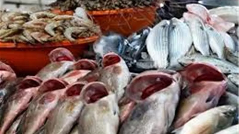 أسعار الاسماك اليوم الأحد 18 أغسطس 2019