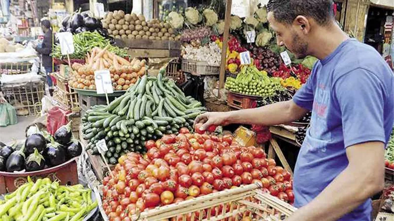 غرفة الخضروات: الأسعار انخفضت بنسبة 20%.. والباذنجان بـ «نص جنيه» (فيديو)