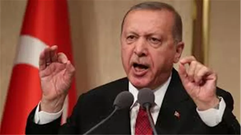 خبير في الشأن التركي: عزل أردوغان لنواب محليين منتخبين في تركيا سياسة ترتكز على السلطاوية (فيديو)