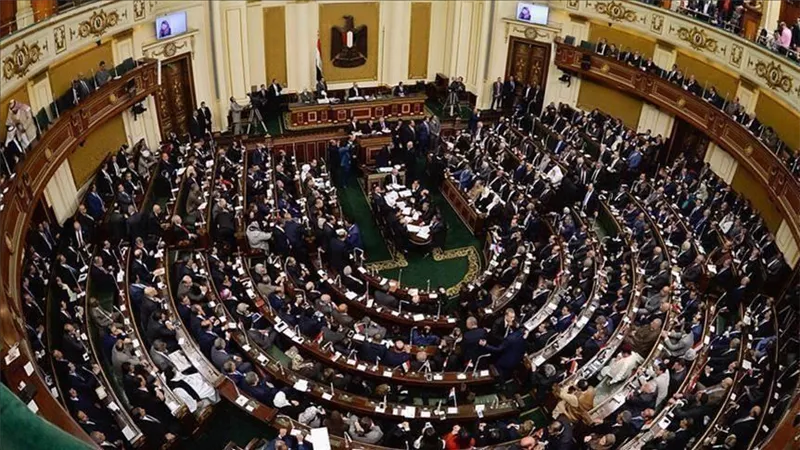 البرلمان: ضرائب الإعلانات على «فيس بوك» تصب في مصلحة المواطن (فيديو)