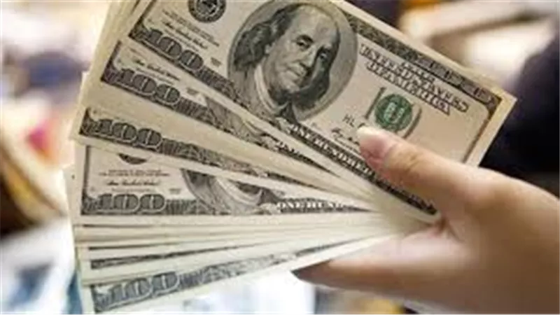 سعر الدولار في البنوك المصرية اليوم الاربعاء 21 أغسطس 2019 | اسعار صرف الدولار 