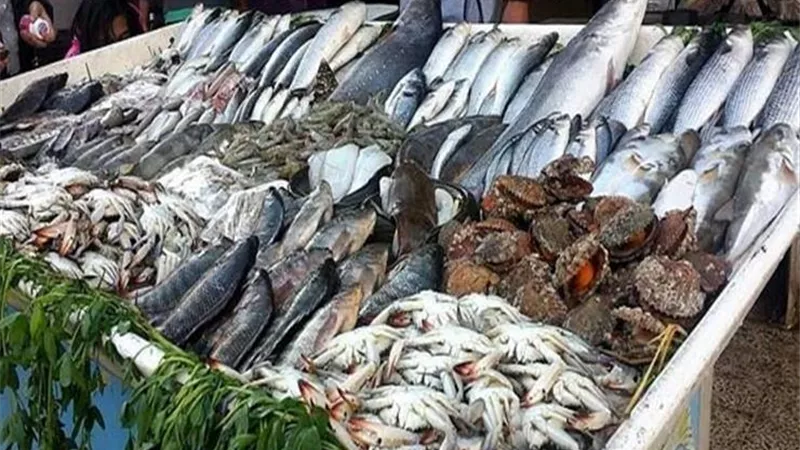 أسعار الاسماك اليوم الاربعاء 21 أغسطس 2019 