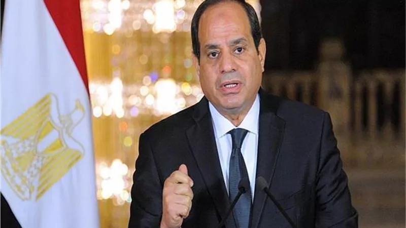 أستاذ قانون دولي: قوة مصر سبب دعوتها للمشاركة في قمة السبع (فيديو)