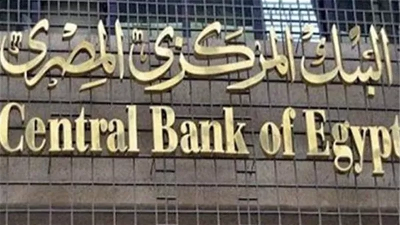 أستاذ اقتصاد يشرح أهمية تخفيض سعر الفائدة البنكية في مصر(فيديو)