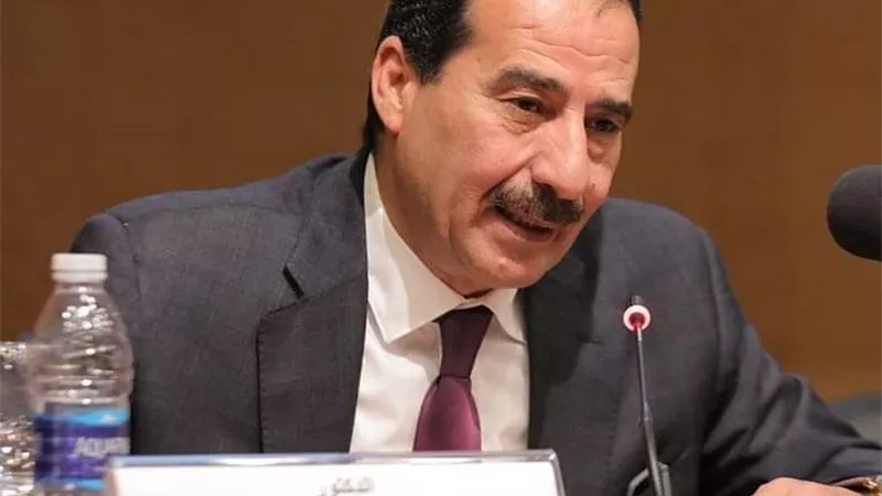عميد معهد دول حوض النيل: كلمة السيسي أمام التيكاد هدفها تنمية القارة وخدمة دول أفريقيا وتضعها على خريطة العالم الاقتصادية