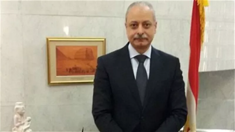 سفير مصر باليابان: طوكيو تدعم المركز المصري لتسوية النزاعات وحفظ السلام في أفريقيا(فيديو)