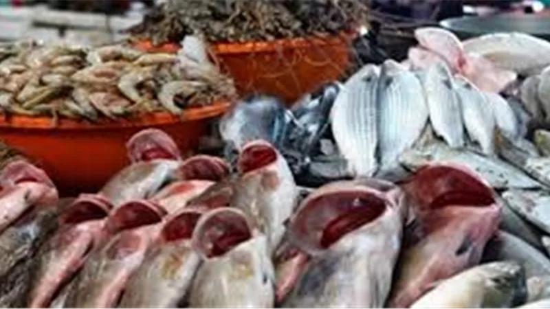 أسعار السمك اليوم السبت 31 أغسطس 2019