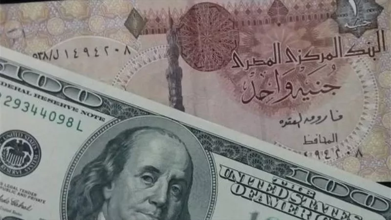 سعر الدولار لايف  | سعر صرف الدولار اليوم في مصر الأحد 8 سبتمبر 2019 