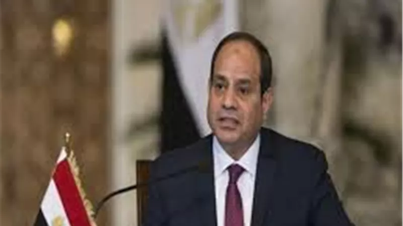 سفير اليابان: السيسي عبر عن احتياجات إفريقيا خلال قمة «تيكاد7» (فيديو) 