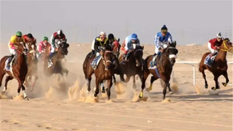 انطلاق مهرجان رماح الخير فى الفيوم 20 سبتمبر