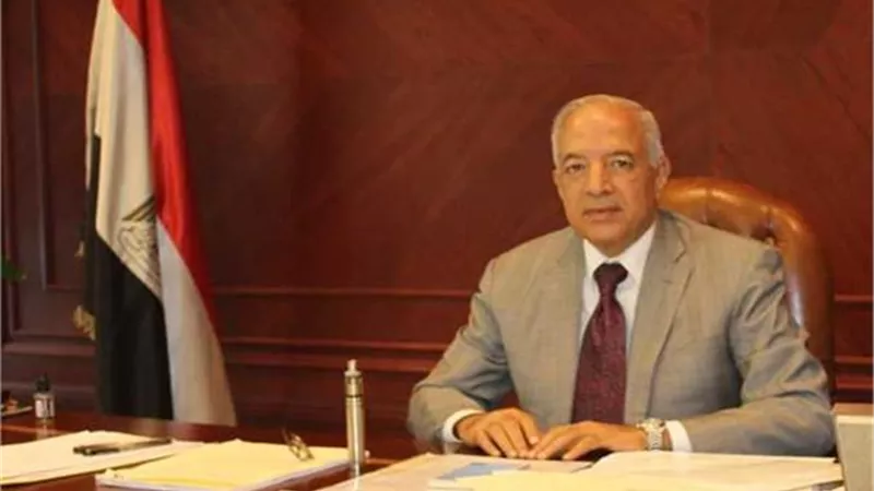 رضا عبد المعطي: مشروع قانون لتأمين المخاطر ضد الطلاق مّحل دراسة (فيديو)