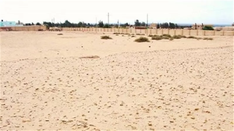 إعلامي مهاجما نقابة الفلاحين: تبيع الوهم لـ 400 شاب بأراضى وادى النطرون(فيديو)