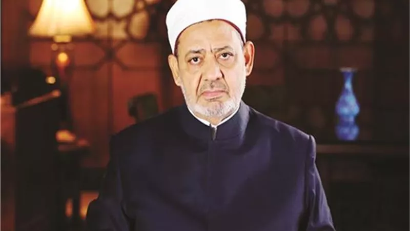 الإمام الأكبر يعود إلى القاهرة بعد رحلة علاج في فرنسا 