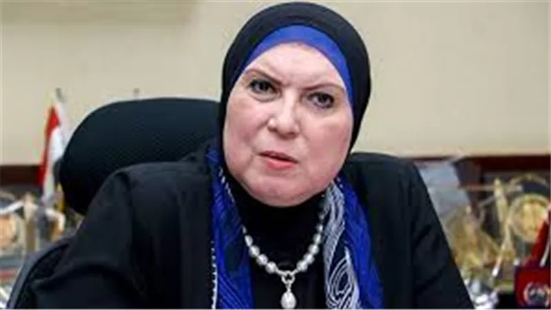 رئيس جهاز المشروعات الصغيرة: الرئيس حرص على سماع مشكلات العارضين في «تراثنا» (فيديو)