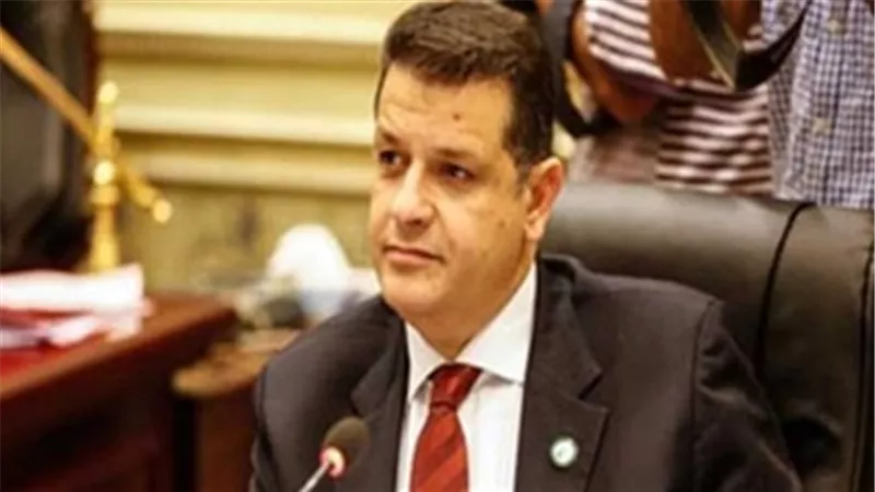 النائب طارق رضوان : المؤسسة التشريعية داعمة للقيادة السياسية في أزمة سد النهضة (فيديو)