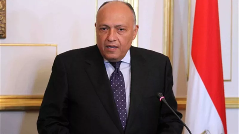 سامح شكري : لدينا مطالبات بعودة سوريا للجامعة العربية (فيديو)