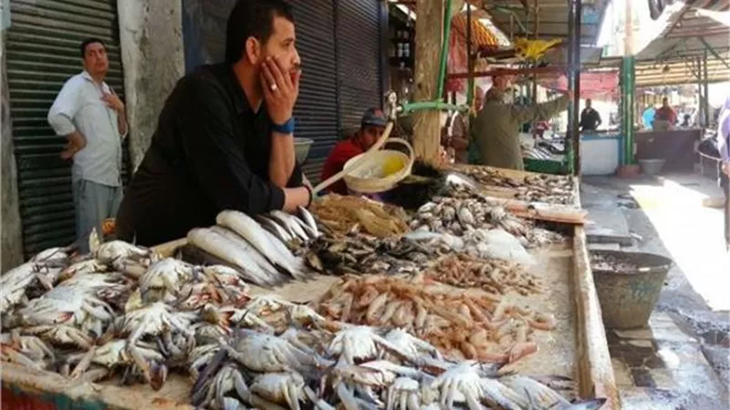 أسعار الاسماك اليوم الأربعاء 16 أكتوبر 2019