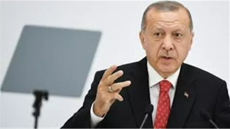 علي السيد: «أردوغان امتداد طبيعي لأجداده الذين ارتكبوا مذابح وقصفوا الحرم» (فيديو)