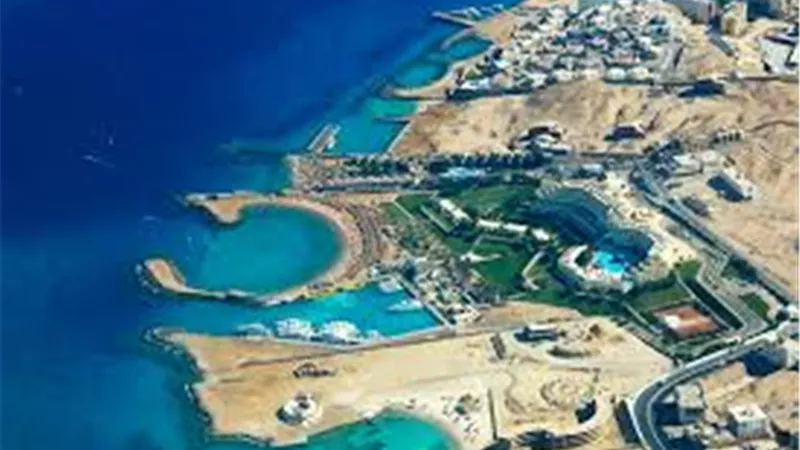 مدير 