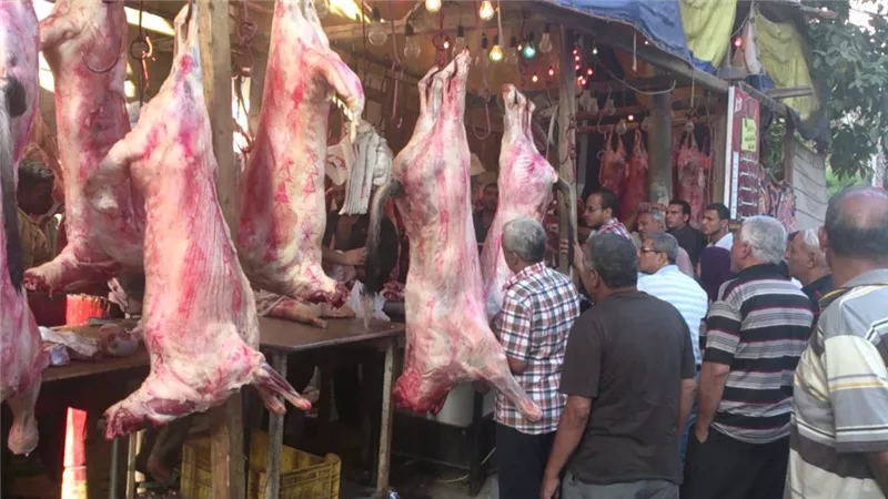 شعبة القصابين : 10 % انخفاض فى أسعار اللحوم .. والكيلو بـ 100 جنيه (فيديو)
