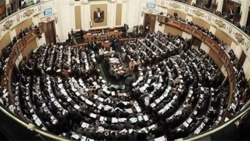 بهاء أبو شقة: اقتربنا من النظام البرلماني ودور المجلس التشريع والرقابة والمساءلة (فيديو) 