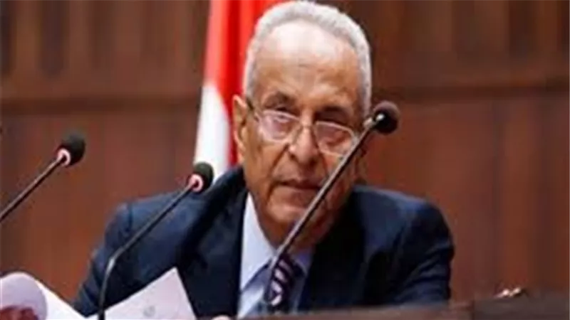أبوشقة : حزب الوفد سيشكل حكومة موازية تقدم الحلول وهذا قمة العمل الحزبي (فيديو)