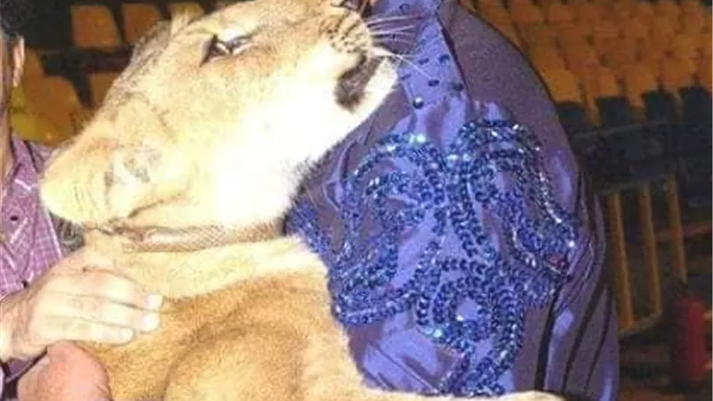 خالد جلال ينعى مدرب الأسود محمد الحلو