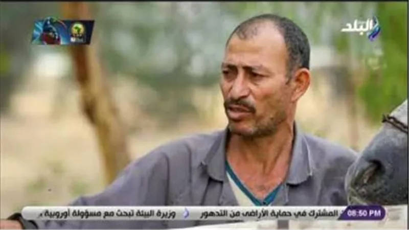 سايس بمحطة الزهراء للخيول: «الخيل الحامل بتخاف على نفسها زي الست بالظبط» (فيديو) 