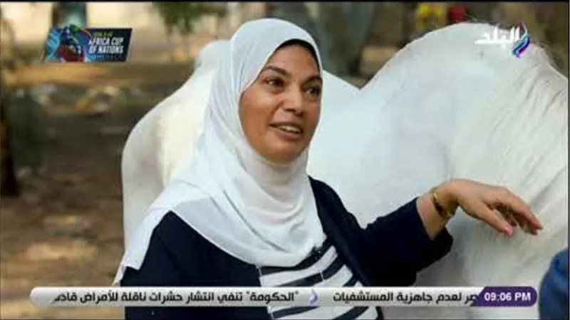 رئيس محطة الزهراء للخيول : الملكة «تويا» أم أبطال في السباقات العالمية(فيديو) 